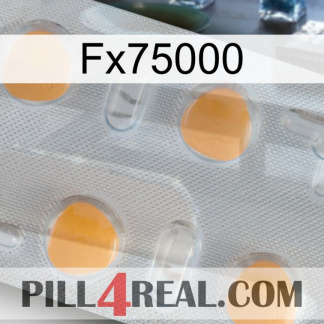 Fx75000 24